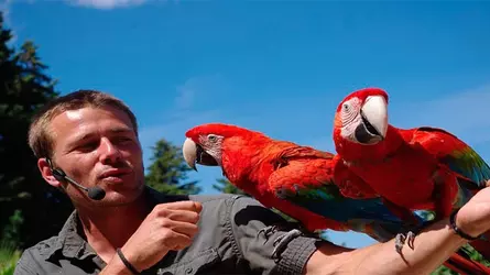Loro Parque